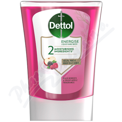 DETTOL Náplň do bezdot.dávkov.Lesního ovoce 250ml